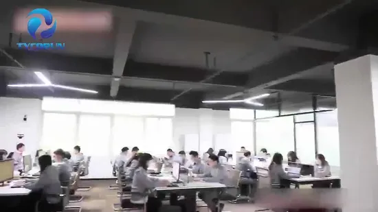 Topray 태양 에너지 시스템 100W 200W 300W 500W 리튬 배터리 태양 광 인버터가 포함 된 태양 광 발전소 올인원